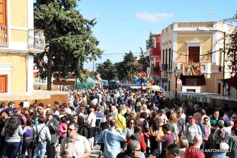 Casco de Valsequillo (Foto TA)